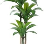 Artificial Dracaena Tree